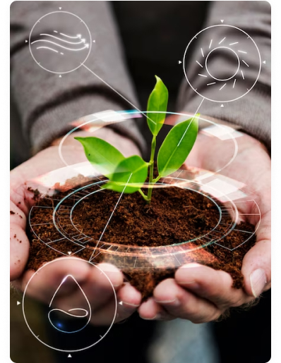 The Future of Farming, Smart Irrigation Solutions